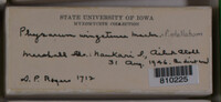 Image Associated With the Occurrence